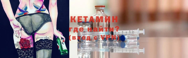 прущие грибы Михайлов