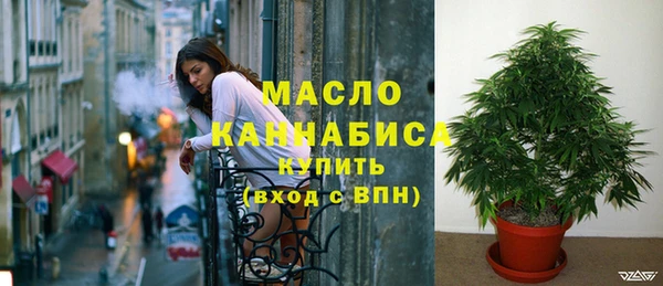 МДПВ Михайловск