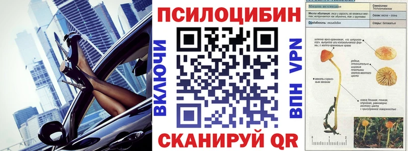 Купить закладки  Кострома  Галлюциногенные грибы Magic Shrooms 